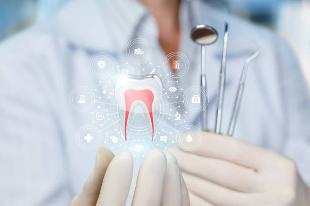 Best Traditional Braces  in Olivet, MI