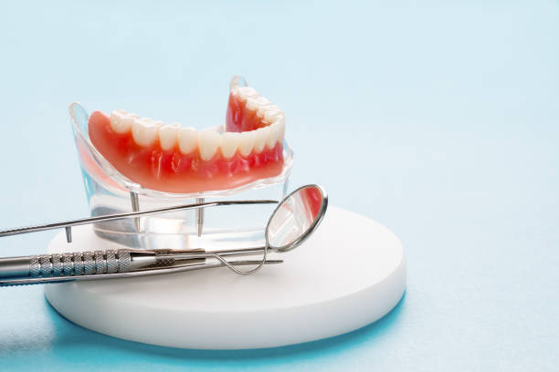 Reliable Olivet, MI  Holistic Dental Services Solutions